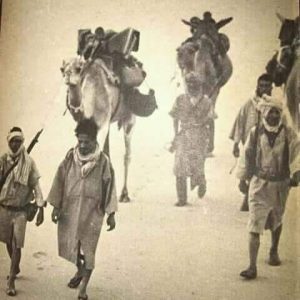 occupation sahara occidental